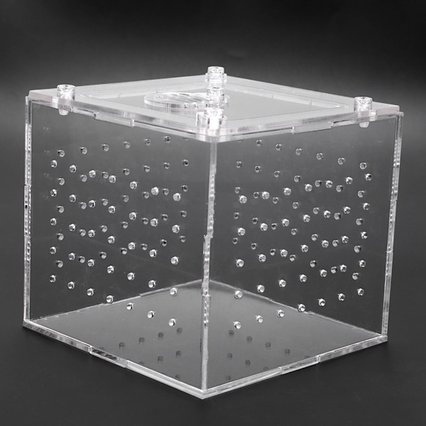 Akvarium Kläckeri Inkubator för Räkor Clownfisk Guppy, Transparent Akrylskydd Fiskodlingslåda med Utrymmesbesparande Design, Överlevnadsgrad