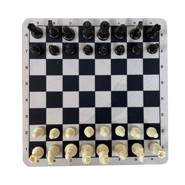 Internasjonalt sjakksett profesjonell standard håndlaget bærbar