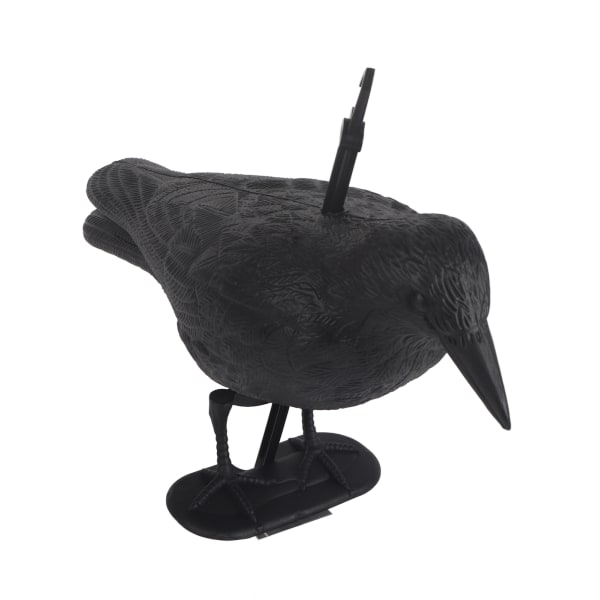 Fugleskremsel Fake Plastic Crow Svartfjærkledde Kråker Fugl