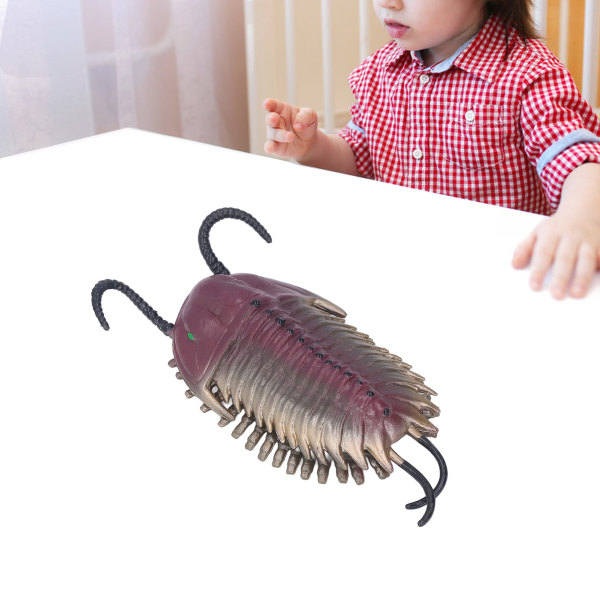 Simulert Trilobitt Modell Figur Annen Marin Dyr Figur Pedagogisk Leker Bursdagsgave for Barn