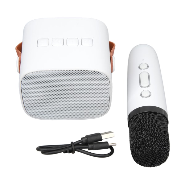 Mini Bluetooth højttaler Bærbar trådløs højttaler Karaoke maskine