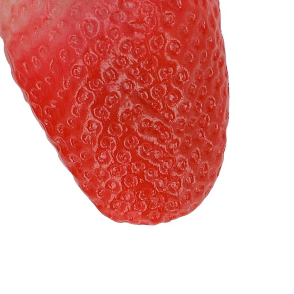 Frukt Shaker Maraca Læringsressurs Plast Perkusjon Former Frukt Shaker Sett for 6+ Måneder (Jordbær)