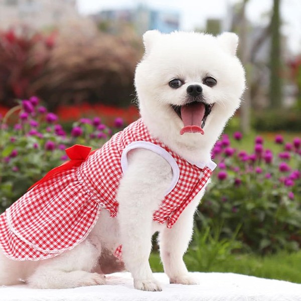 Hundkläder för Små Hundar, Alla Hjärtans Dag Outfit Röd Hundklänning Rosett Tutu, Lätt Att Bära Rutig Hundklänning Mjuk Polyester Andningsbar Design (XL)