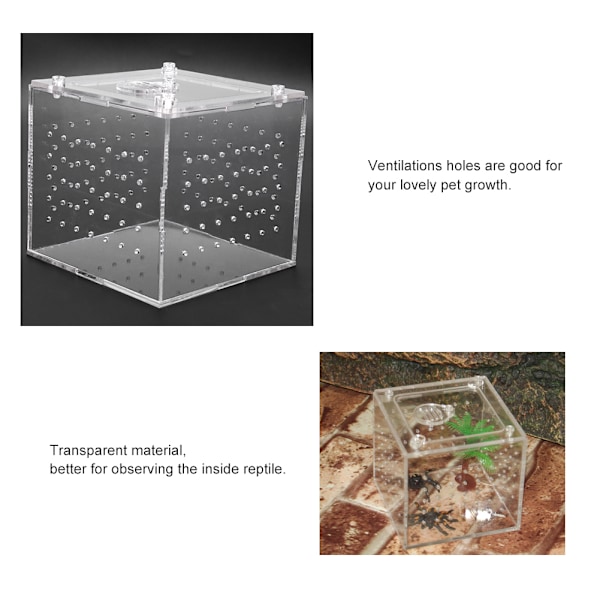 Akvarium Kläckeri Inkubator för Räkor Clownfisk Guppy, Transparent Akrylskydd Fiskodlingslåda med Utrymmesbesparande Design, Överlevnadsgrad