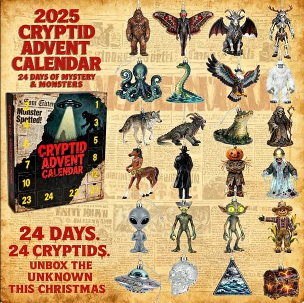 Julekalender Blind Box - Dekorative Tredekorasjoner 2