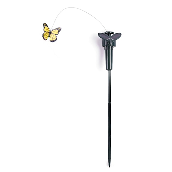 Soldrevet Dansende Flagrende Sommerfugler Flygende Kolibri Hage Gårdsplass Dekor