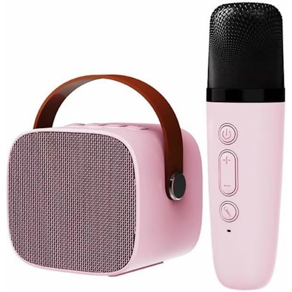 Bærbar høyttaler med mikrofon, bærbar karaoke, utendørs camping, trådløs Bluetooth mobilhøyttaler