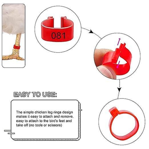 Kyckling Ring Benringar Identifiering 20 mm Plast Färgade Kycklingband Fotringar för Fjäderfäben, Chi