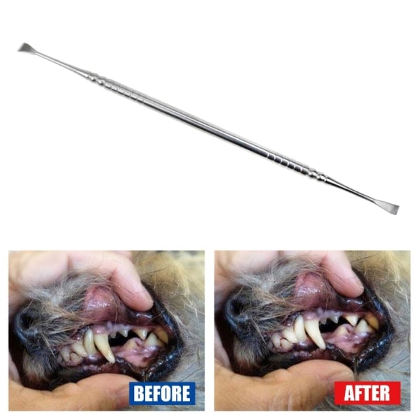 Plaque Remover for Scaler Pet Dog Dental Scraper Teeth Cle 1