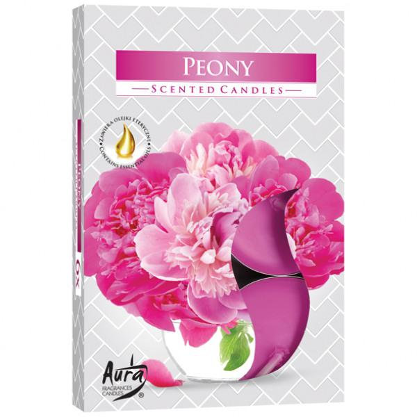 Doftljus Pion (6-Pack) Pink