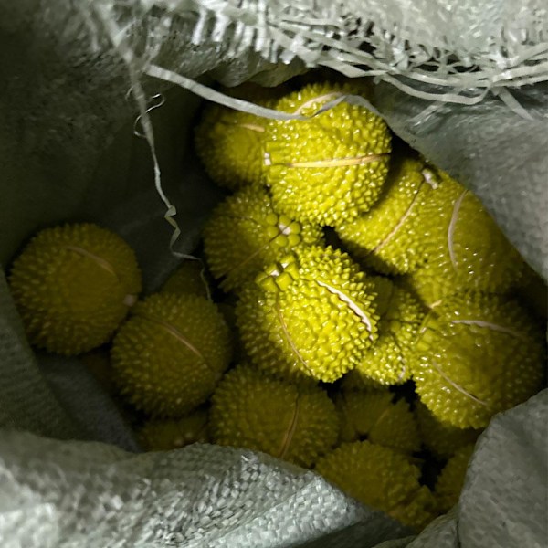 Skärbara Frukter och Grönsaker Leksakskök för Barn Durian Durian +Cutting board onesize