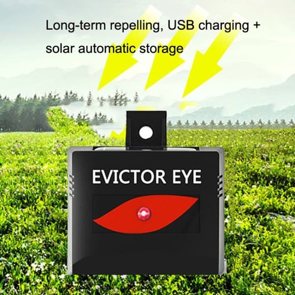 Enkeltpakke Solar Park Eagle Eye Dyreavviser
