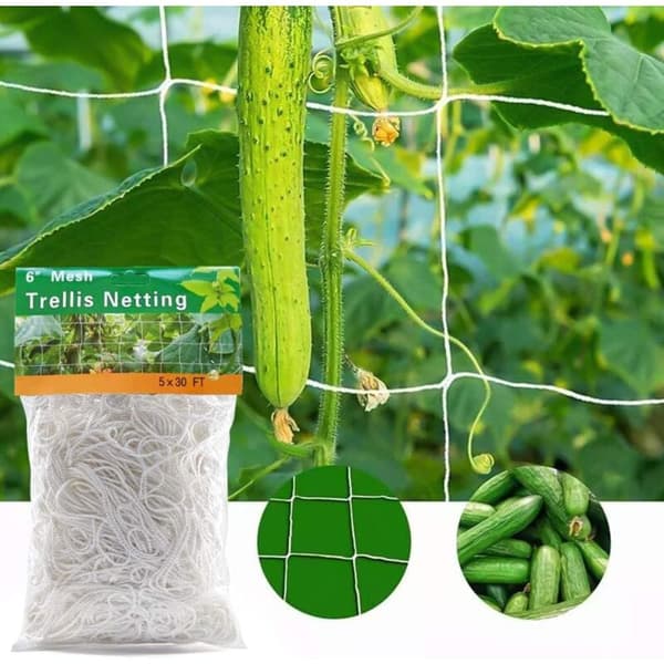 1,5x 9m Have Netting Polyester Trellis Netting Plant Dot Support Netting til Blomsterklatring KLB