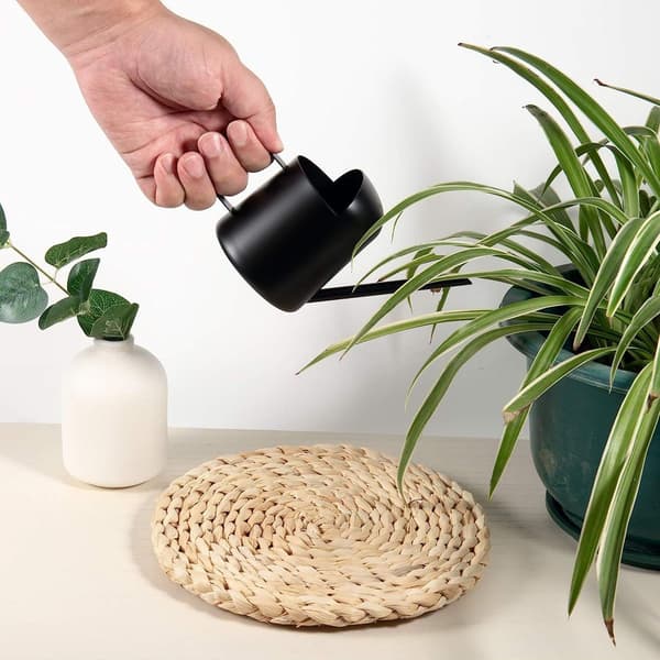 Vandkande i rustfrit stål, 300 ml, med lang hals til planter, stueplanter, Pa KLB