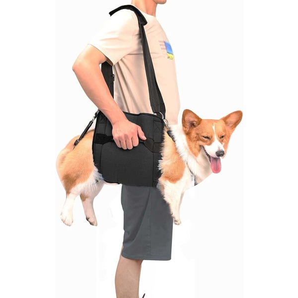 Hundbärsele, nödryggsäck för benstöd och rehabilitering för husdjur (L, svart)