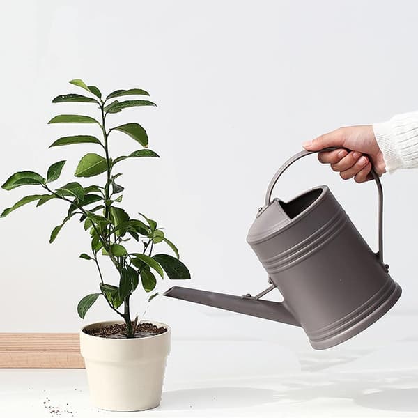 Vandkande til stueplanter, små vandkander til