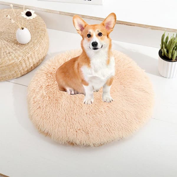 Hunder seng hundematte rund hundekatt matte m KLB