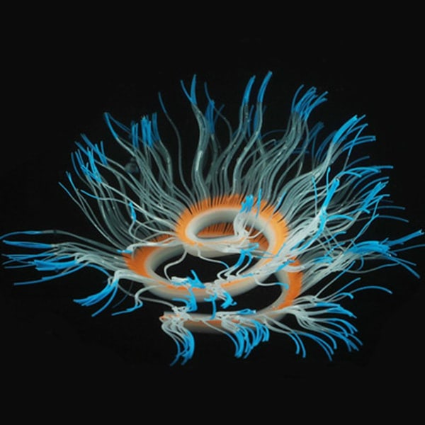 Freeform Sea Anemone Coral Soft Silica Gel Moves Blue KLB