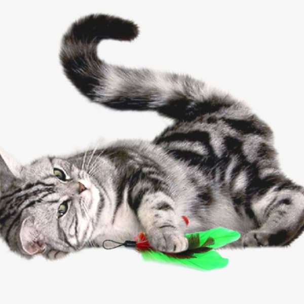 Interaktiv kattfjäderleksak, kattfjäderleksak grön KLB