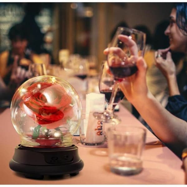 Bevarede blomster Evig blomst Evig fløjlsrose Kunstig blomst Lille prins Kreativ
