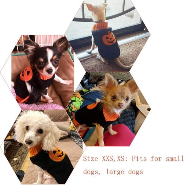 Græskar hundetrøje kæledyrstrøjer, S, Halloween-fest til kat og hvalp