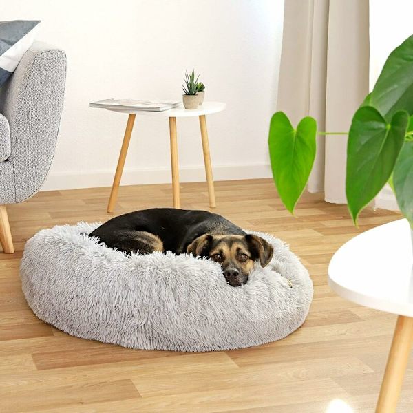 Koirapeti - Pyöreä tyynypeti kissoille - Mukava pehmeä donitsisohva kaikille koirille ja kissoille - Pehmeä kangas (80 cm Ø vaaleanharmaa) KLB
