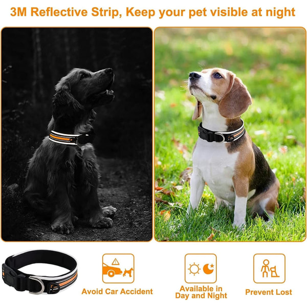 Justerbart reflekterande hundhalsband med tagg, andningsbart djurhalsband i nylon , hundhalsband för husdjur för små medelstora hundar (orange, M)