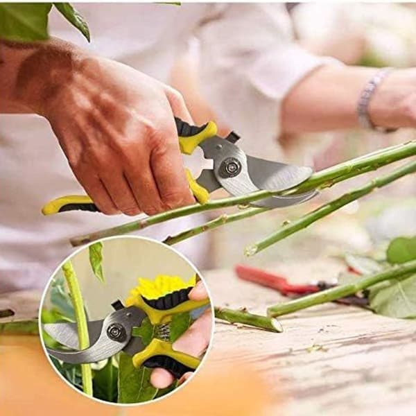 Til friske grene og grene, non-stick belægning, rustfrit stålblad