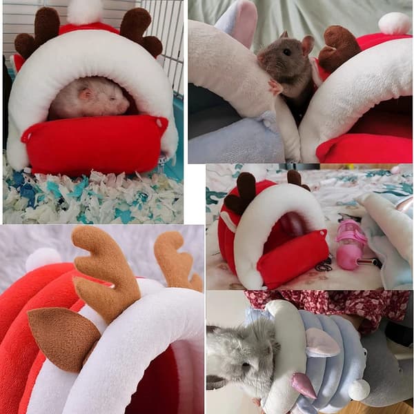 Kosete huler marsvin smådyrseng hamster koselig hengekøye
