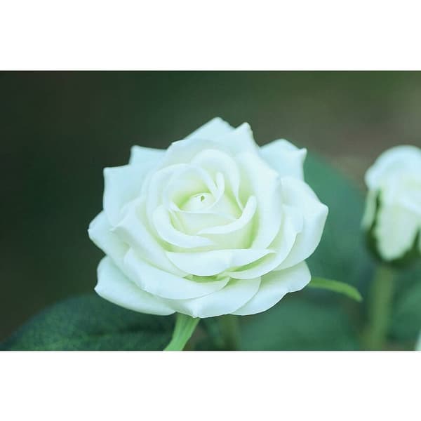 Solcellslampor i form av blommor för trädgårdsdekoration -- vit KLB