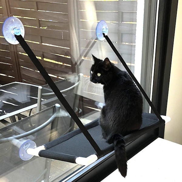 Premium fönsterplats för den nöjda katten. Kattbädd med 360° musvy KLB