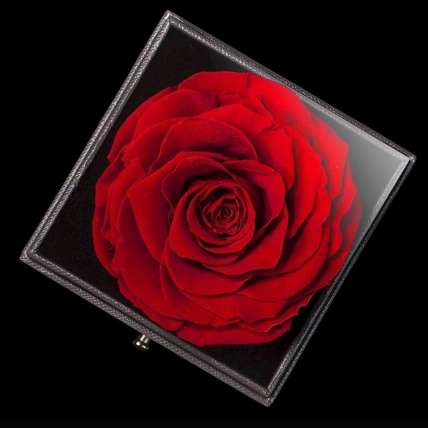 Eternal Rose presentidé för mors dag, jubileumspresent, alla hjärtans dag, bröllop, mu
