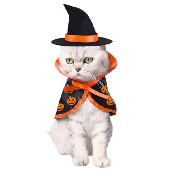 Halloween Kat Kæledyr Troldmand Kostume, Kæledyr Kostume Tøj til Killing Hvalp til Halloween