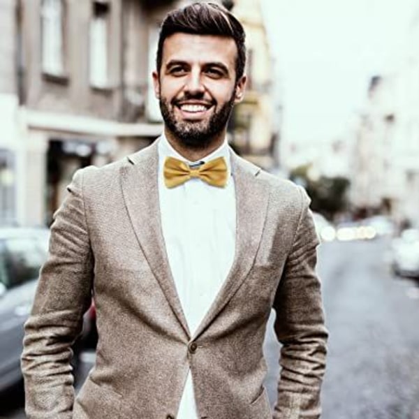 Elegante forhåndsbundne sløyfebånd for menn til bryllupsdåpsfest Trinnløst justerbart slips