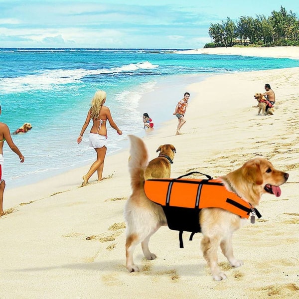 Flytväst för hund, simträningsflytväst för hundar, orange KLB