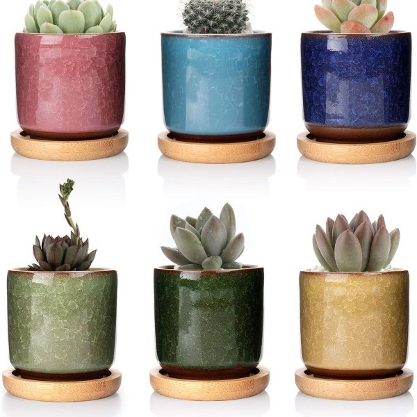 6 cm Zisha keramiska krukväxter med bambu bricka - 6-pack, suckulent kaktusblomma KLB