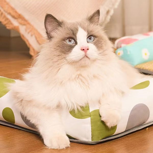 Kjølematte for kattunger og valper, Rattan kjæledyrpute for katter, liten M (19,7x15,75x1,1) KLB