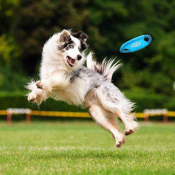 Hundleksak Frisbee - Slitstark Frisbee Leksak 18cm KLB
