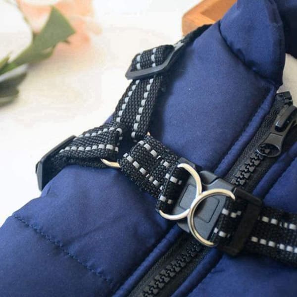 Hundegensere for vinter vindtett, vanntett KLB