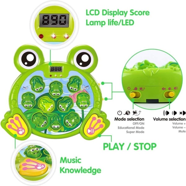 Interactive Whack A Frog-spill for gutter og jenter i alderen KLB