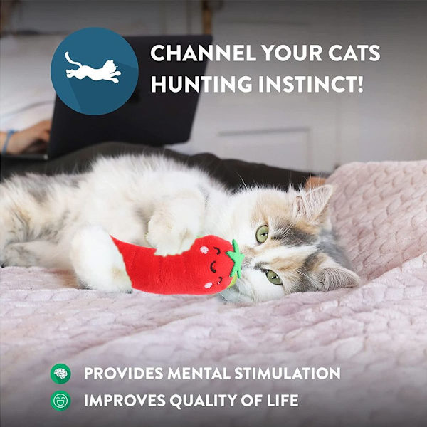 Kattmyntaleksak för katter, interaktiv kattmynta stil 4 KLB