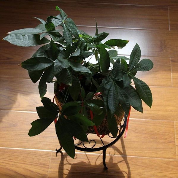 Retro Design Metall Rund Smidd Jern Blomsterkrakk Plante Stativ KLB