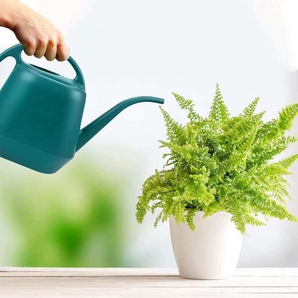 Plastik Vandkande - 1 Gallon, Grøn