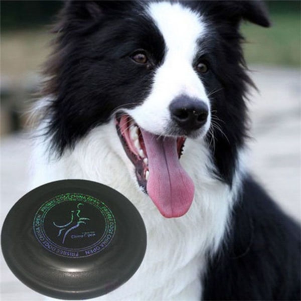 Hunde Frisbee Gummi Frisbee Intelligens Legetøj Sort KLB