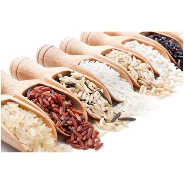 6 st Mini Träslev, Liten Bordsaltssked Träslev, för Kryddor, Matlagning, Sked, Köksredskap, Mjölk, Kaffe, Te, Godis, Mini Mjöl Salt
