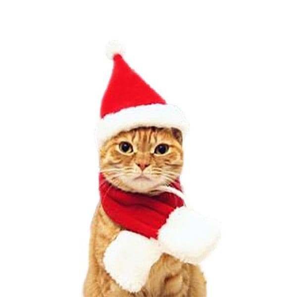 Julehat til Kat og Hund - Tilbehør til Tøj - Størrelse S