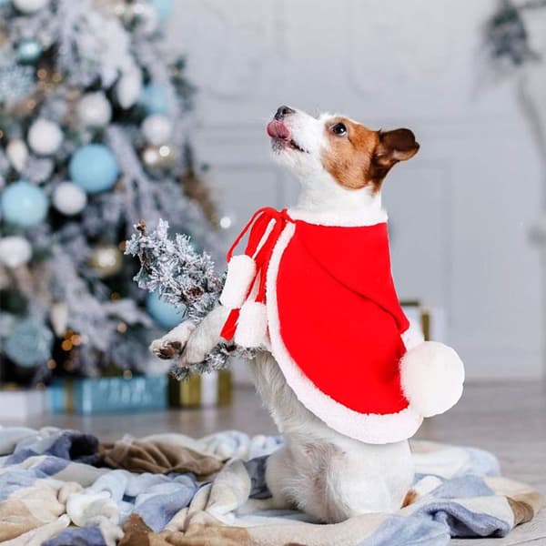 Pet Julekostume Poncho Cape med Hat Julemand Cape til Katte