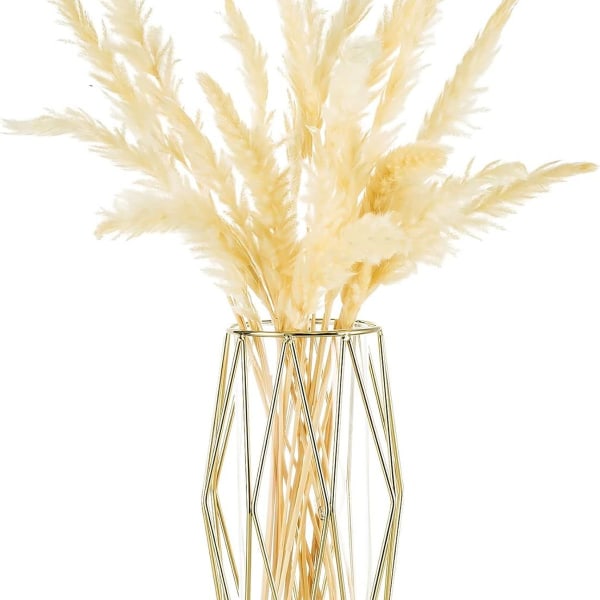 Vase for Pampas Grass, Glass Gold High Floor Vase with Geometric Metal Stand, KLB