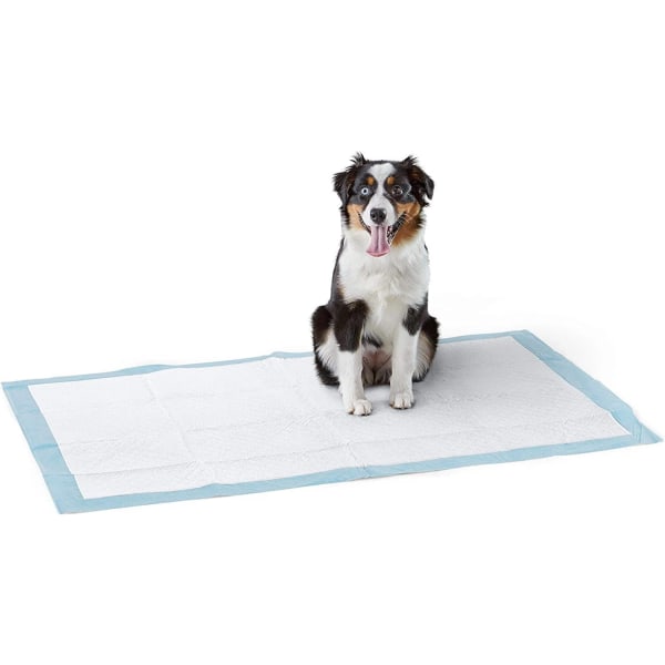 Træningsmåtte til hunde og hvalpe, kraftigt absorberende materiale, jumbo (31 x 47 tommer) - pakke med 30 stk.