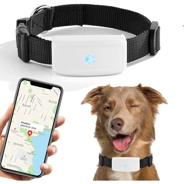 GPS-lokalisering för hundar och katter, GPS-traktor i realtid vattentät väg historisk enhetslokalisering gratis app